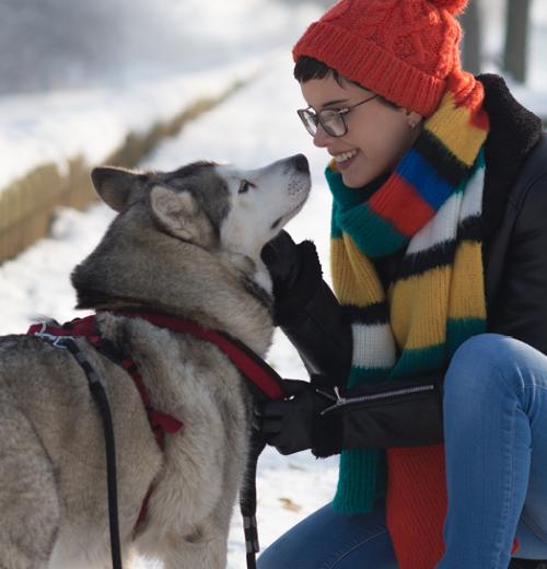 Woman in slow petting her husky dog